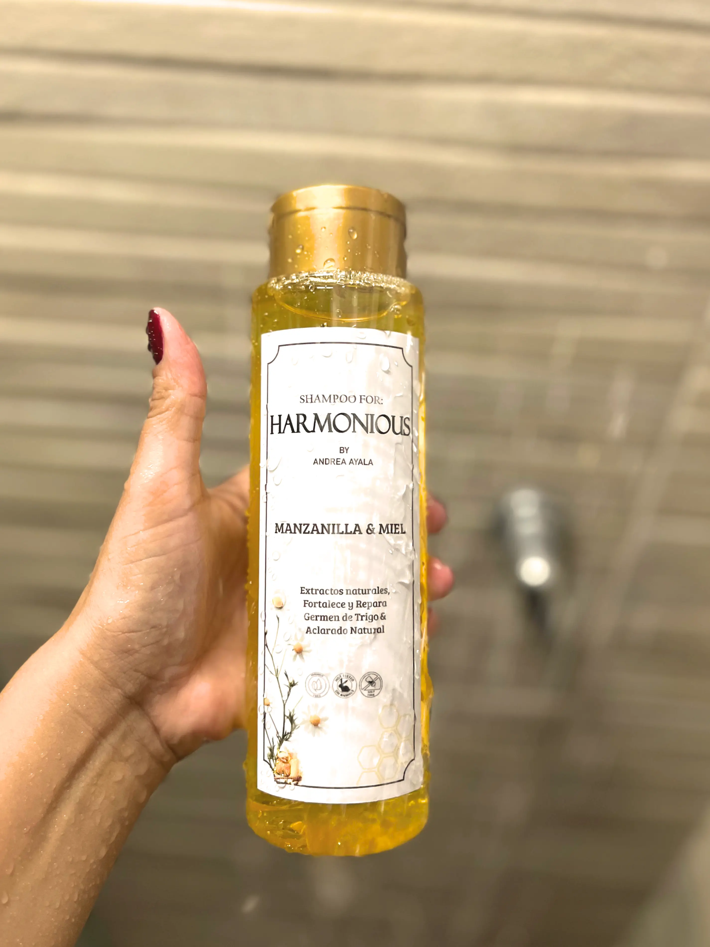 Manzanilla y Miel Vista 4