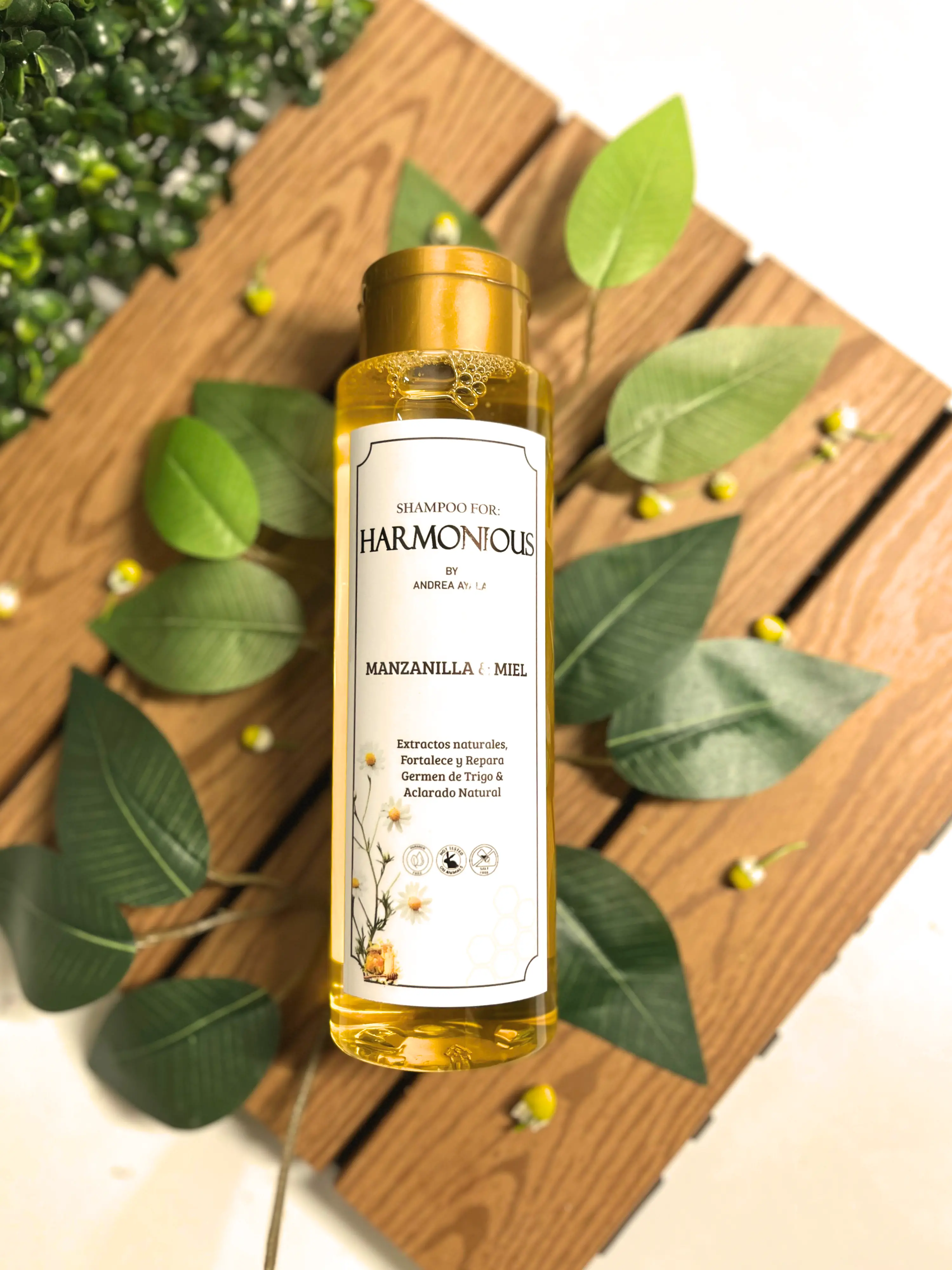 Manzanilla y Miel Vista 3