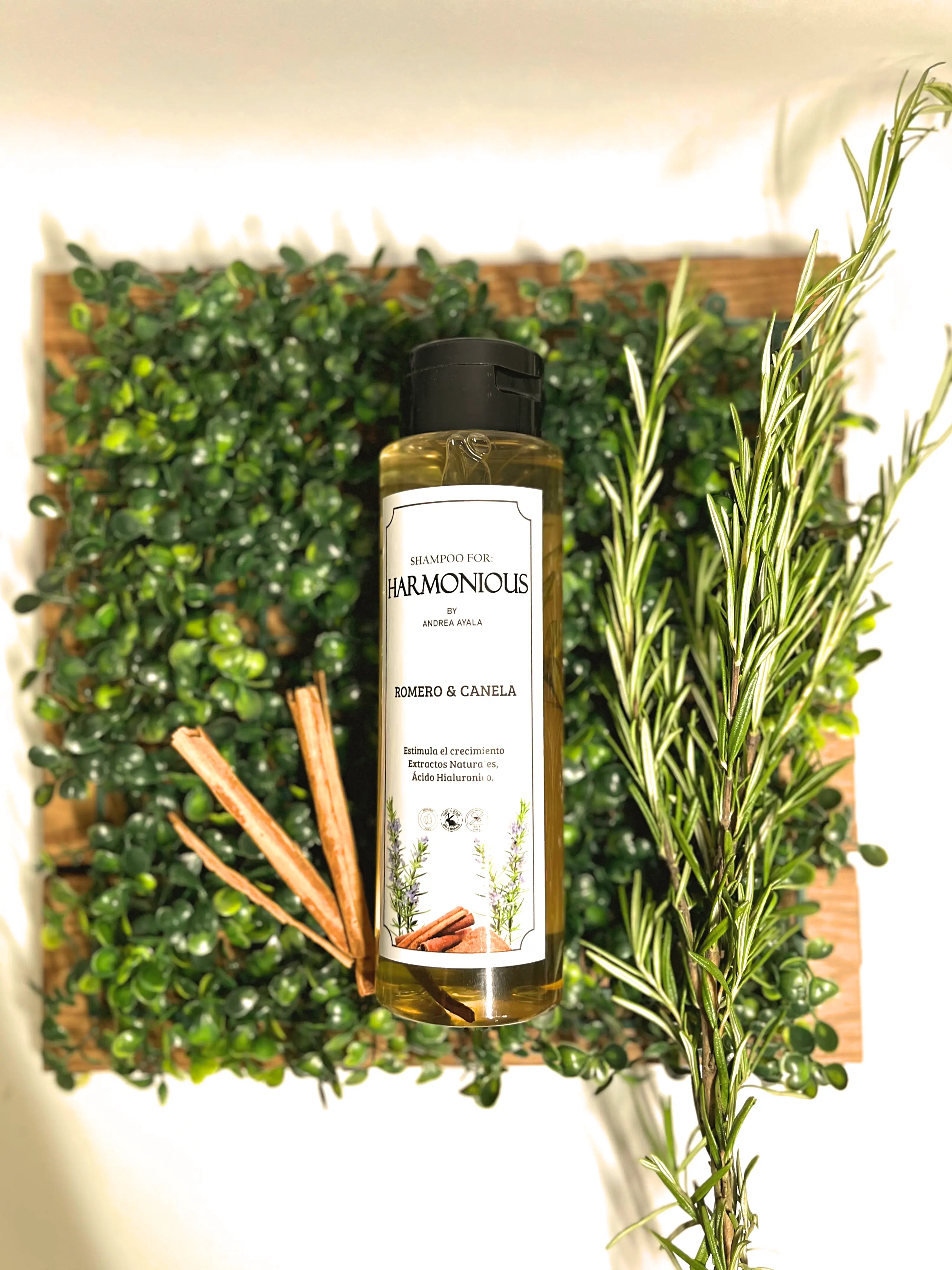 Shampoo + Mascarilla Capilar Vista 3